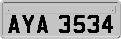 AYA3534