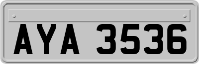 AYA3536