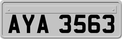 AYA3563