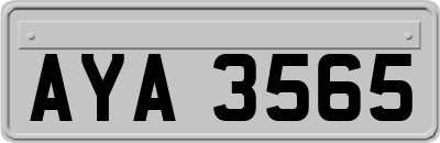 AYA3565
