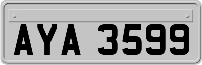 AYA3599