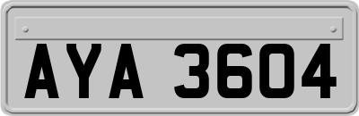 AYA3604
