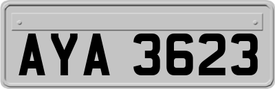 AYA3623