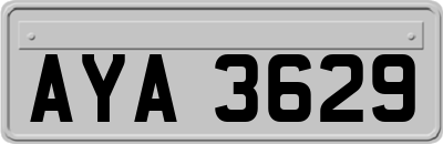 AYA3629