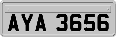 AYA3656