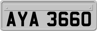 AYA3660