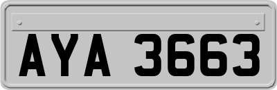 AYA3663