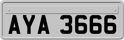 AYA3666
