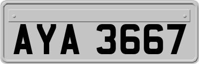 AYA3667