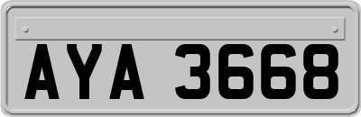 AYA3668