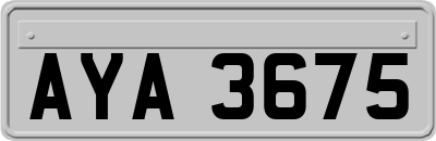 AYA3675