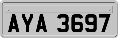 AYA3697