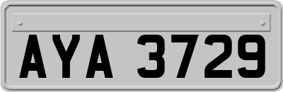 AYA3729