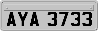 AYA3733