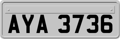 AYA3736