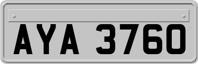AYA3760
