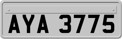 AYA3775
