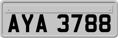 AYA3788