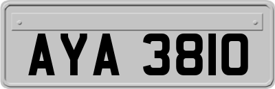 AYA3810