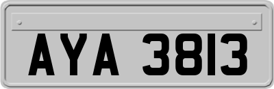 AYA3813