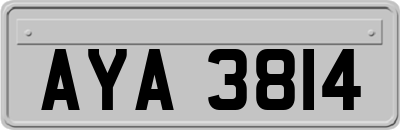 AYA3814