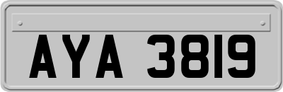 AYA3819