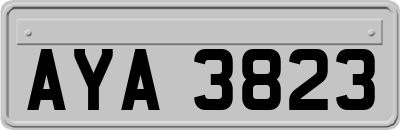 AYA3823