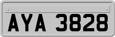 AYA3828