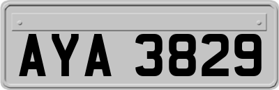 AYA3829