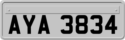 AYA3834