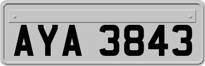 AYA3843