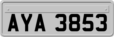 AYA3853