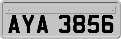 AYA3856