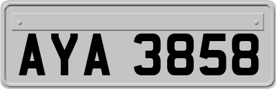 AYA3858