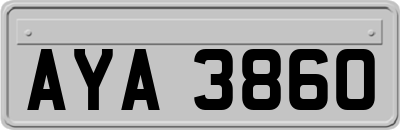 AYA3860