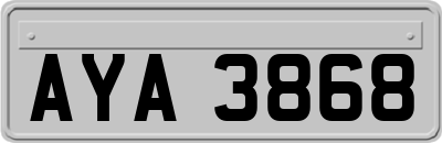AYA3868