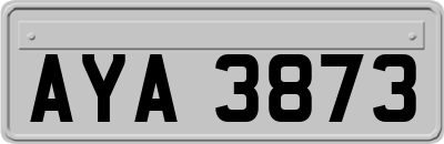 AYA3873