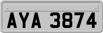 AYA3874