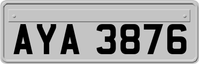AYA3876