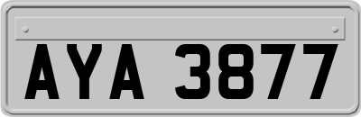 AYA3877