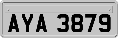 AYA3879