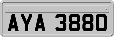 AYA3880