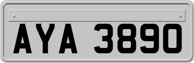 AYA3890