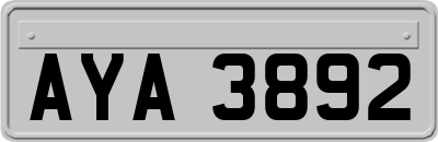 AYA3892
