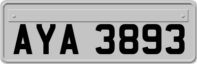 AYA3893