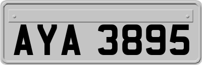 AYA3895
