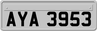 AYA3953