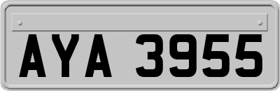 AYA3955