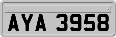 AYA3958