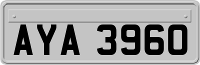 AYA3960